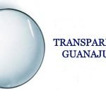 Ley de Transparencia y Acceso a la información Guanajuato Foto: Especial