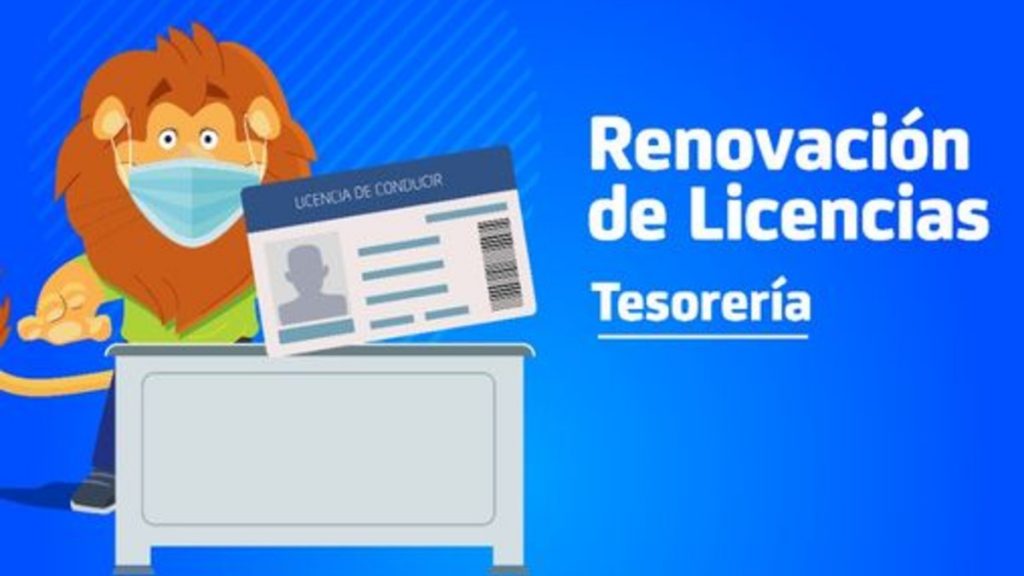 Licencia de conducir León 2021: ¿Cómo hacer la renovación? (1)
