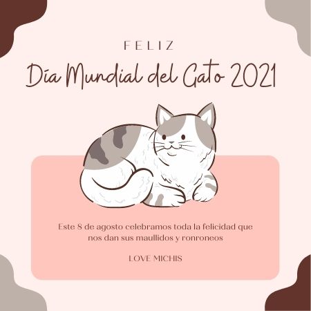 Día Mundial del Gato 2021