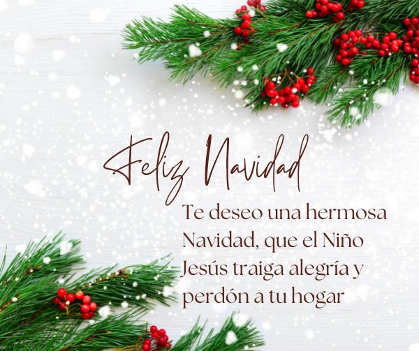Frases de Navidad 2022 cristianas. Imágenes y pensamientos para Whatsapp o  tarjetas | Unión Guanajuato