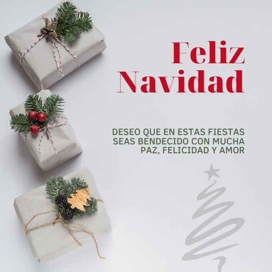 Feliz Navidad 2021. Pensamientos, buenos deseos y frases bonitas en  imágenes | Unión Guanajuato