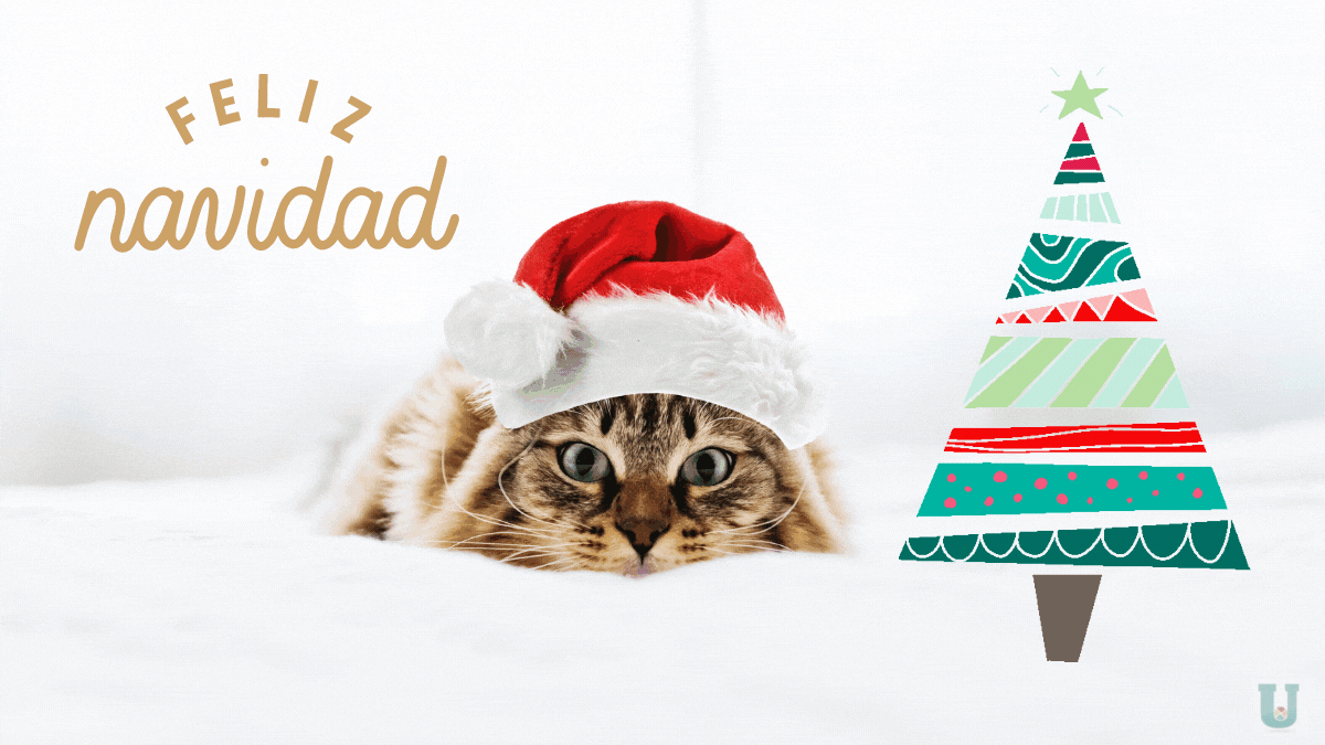 Gifs de Navidad con movimiento. Imágenes animadas para amigos que aman a  los perros y los gatos - Unión EDOMEX