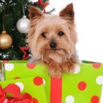 navidad 2021 perros frases felicitaciones imagenes gifs