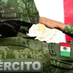 sedena soldados militares regiones batallones ejercito mexicano 2021