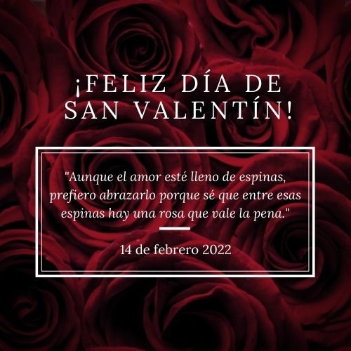 Frases de San Valentín para reflexionar. Mensajes del 14 de febrero para  alguien especial - Unión EDOMEX