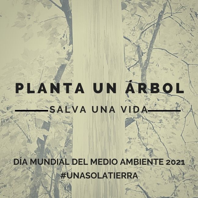 Día Mundial del Medio Ambiente 2022: Imágenes y frases del 5 de junio |  Unión Guanajuato
