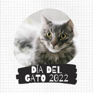 imágenes del día del gato 2022