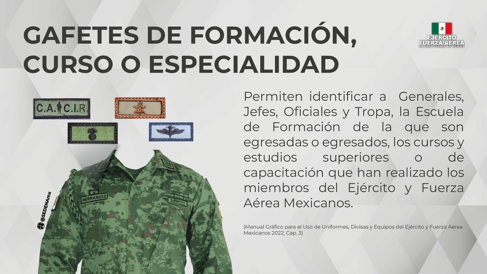 SEDENA. Esto las insignias de los militares Guanajuato